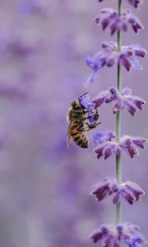 aaron-burden-JN1Lvw3EJaU-unsplash